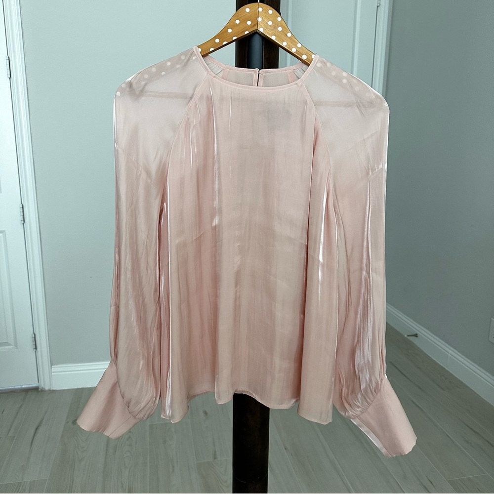 Express Blush Sheer Blouse